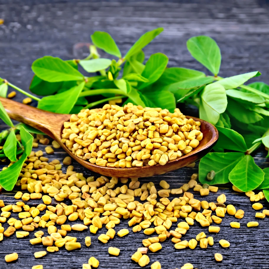 Fenugreek Oleoresin